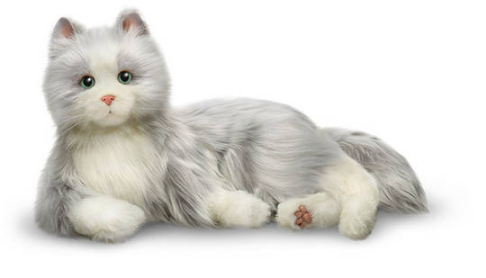 Companion Pet/Silver Cat with White Mitts